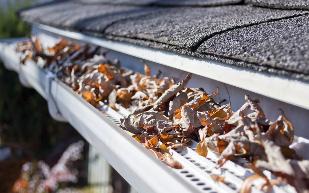 How To Clean Your Gutters From The Ground